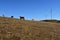 The cattle and the wind power generator on the grassland