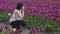 Caucasian Adult Woman looking at fresh Tulip Flowers in a field.