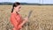 Caucasian Agronomist checking the field of cereals and sends data to the cloud from the tablet. Smart farming and digital agricult