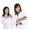Caucasian and Asian woman Veterinarians holding and examining a kitten