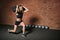 Caucasian athletic woman working out with sandbag while exercises in the gym.