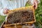 Caucasian bee master on apiary wearing protective suit and mask