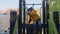 Caucasian blond stylish toddler plays on slide