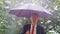 Caucasian businessman sheltering underneath an umbrella in the rain