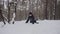 Caucasian child runs through deep snow, jumps, falls to his knees