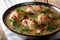 Caucasian cuisine: Satsivi with chicken and pomegranate close-up in a bowl. horizontal