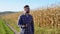 Caucasian farm worker walking along maize corn field for inspection. Harvest care concept