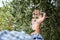 Caucasian farmer checks the unripe olives. Agriculture