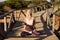 Caucasian female practicing yoga on wooden bridge.