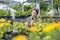 Caucasian garden owner is tending to her ornamental flower plant at nursery garden center using digital tablet for native and