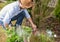 Caucasian gardener planting flower seedlings in the garden