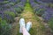 Caucasian girl with canvas shoes laying on the grass in a lavender field