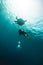 Caucasian girl freediving underwater with cute turtle in blue sea