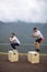 Caucasian male athletic friends doing box jump outdoor on top of the mountain.