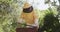 Caucasian male beekeeper in protective clothing opening beehive