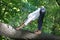 caucasian male in formal clothes doing downward facing dog