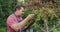 Caucasian male gardener checking tree and making notes at garden center