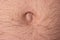 Caucasian male hairy belly and belly button. Macro close up shot, front view