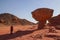 Caucasian male traveler in stylish clothes on nature next to a mushroom-shaped sandy rock in Timna National Park, Israel