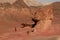 Caucasian male traveler in stylish clothes on nature next to a mushroom-shaped sandy rock in Timna National Park, Israel