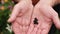 Caucasian man holding small tiny dark baby toad