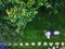 Caucasian man pushing lawn mower for cutting green grass in garden with sunlight at summer season. Aerial view. Housework and