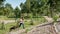 Caucasian man run with Kurzhaar dog in green park