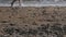 Caucasian man running bare foot on sandy beach into sea wave