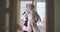 Caucasian man in Santa Claus costume spinning pretty blond Caucasian child. Smiling girl with pigtails in pajamas having