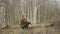 Caucasian man sits in the forest on the railway rails, autumn day