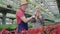 Caucasian man and woman discussing flower in greenhouse and shaking hands. Portrait of professional male and female