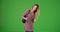 Caucasian millennial girl answering text on green screen