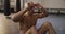 Caucasian muscular shirtless bald man exercising, doing sit ups