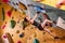 Caucasian strong female climber. Strong woman practicing climbing in sports club