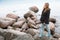 Caucasian teenage girl walking on coastal stones