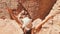 Caucasian tourist traveler sitting joyful on viewpoint in Petra ancient city looking at the Treasury or Al-khazneh, famous travel