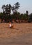 Caucasian Tourists and families relaxing and enjoying on the beach at Agonda Beach in Goa, India