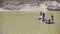 Caucasian Tourists Sail on Raft across Lake in Park