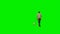 Caucasian walking his dog against green screen