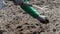 Caucasian woman farmer or gardener cleans weeds in the garden. Early spring preparation for the garden season