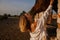 Caucasian Woman Hugging Horse On Farm