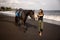 Caucasian woman leading horse by its reins. Horse riding on the beach. Human and animals relationship. Nature concept. Copy space