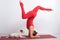 Caucasian woman practices yoga in a red bodysuit with her dog Jack Russell Terrier on a white background. The girl