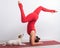 Caucasian woman practices yoga in a red bodysuit with her dog Jack Russell Terrier on a white background. The girl