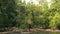 Caucasian Woman Practices Yoga by the River in Tropical Rainforest, Thailand.