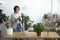 Caucasian woman spray water on green plant leaves