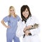 Caucasian woman Veterinarians holding and examining a kitten