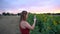 Caucasian young woman photographing sunflower using smartphone in farm during sunset