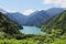 Caucasus. Abkhazia. Riza lake with clear blue water, surrounded by lush green forest