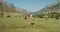 Caucasus. A young woman is walking among cows grazing in pasture in mountains